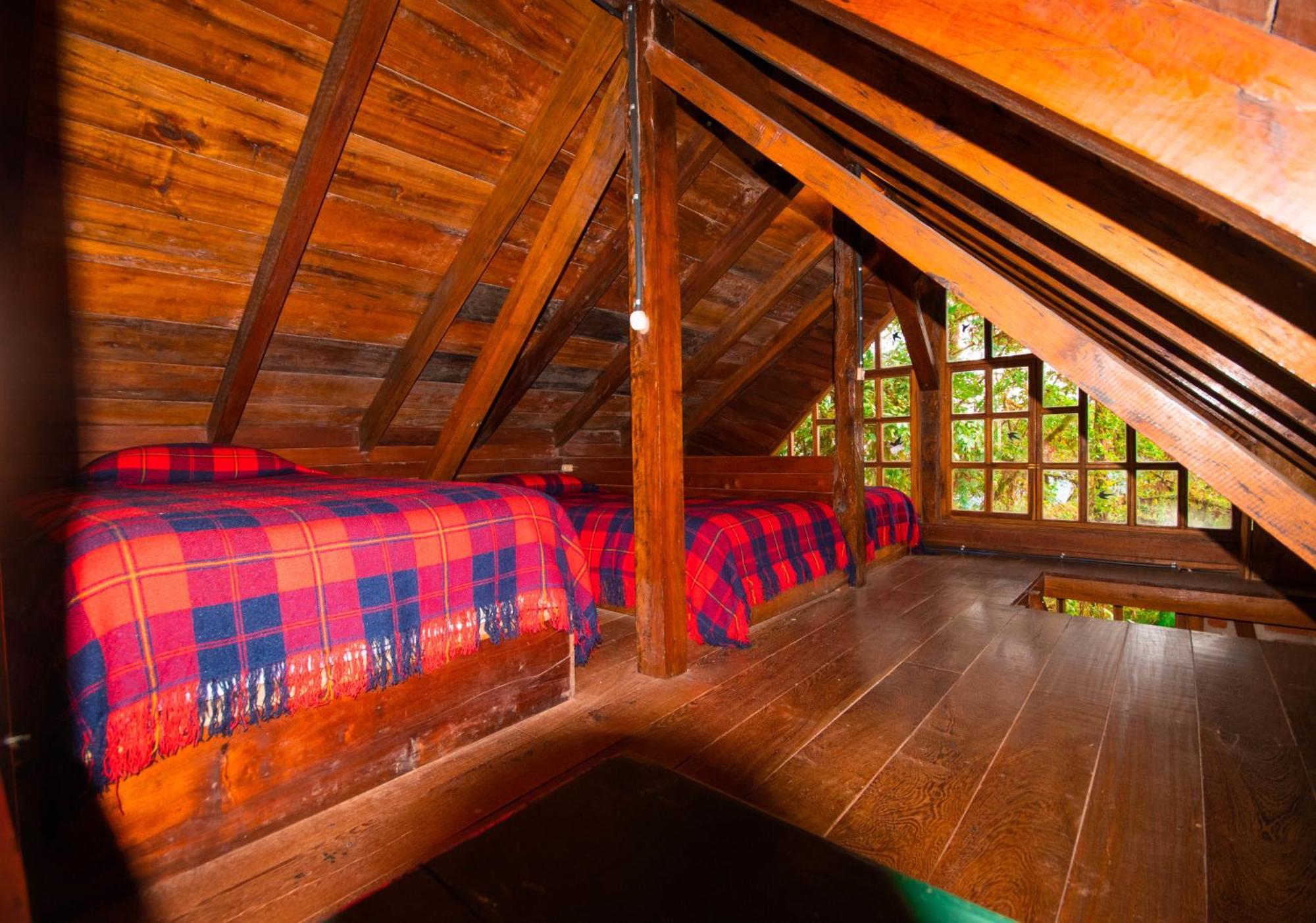 Bellavista Cloud Forest Lodge & Private Protected Area Tandayapa Dış mekan fotoğraf
