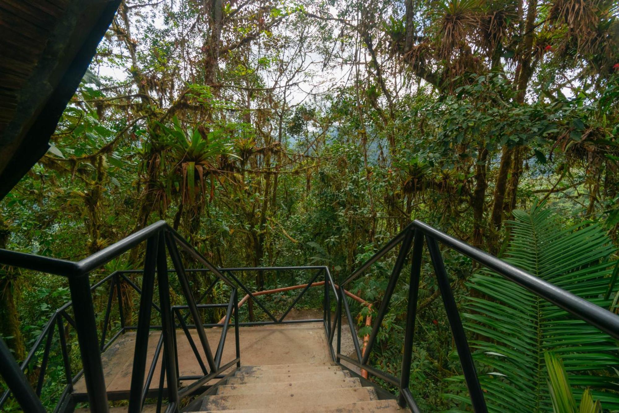 Bellavista Cloud Forest Lodge & Private Protected Area Tandayapa Dış mekan fotoğraf