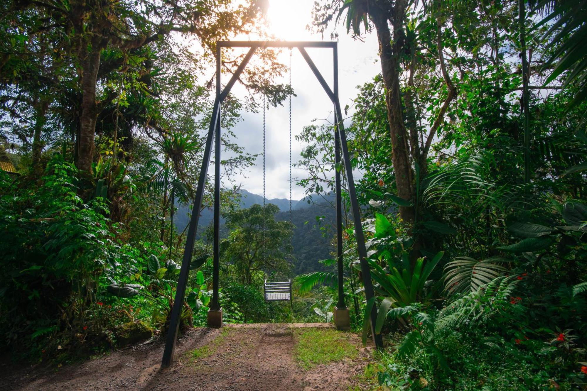 Bellavista Cloud Forest Lodge & Private Protected Area Tandayapa Dış mekan fotoğraf