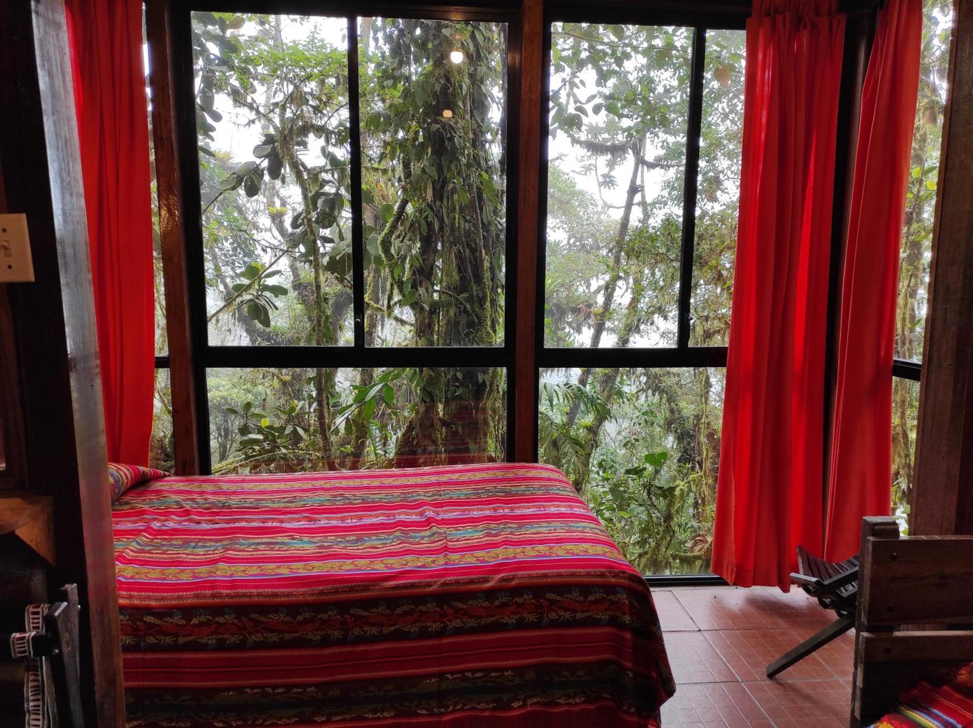 Bellavista Cloud Forest Lodge & Private Protected Area Tandayapa Dış mekan fotoğraf