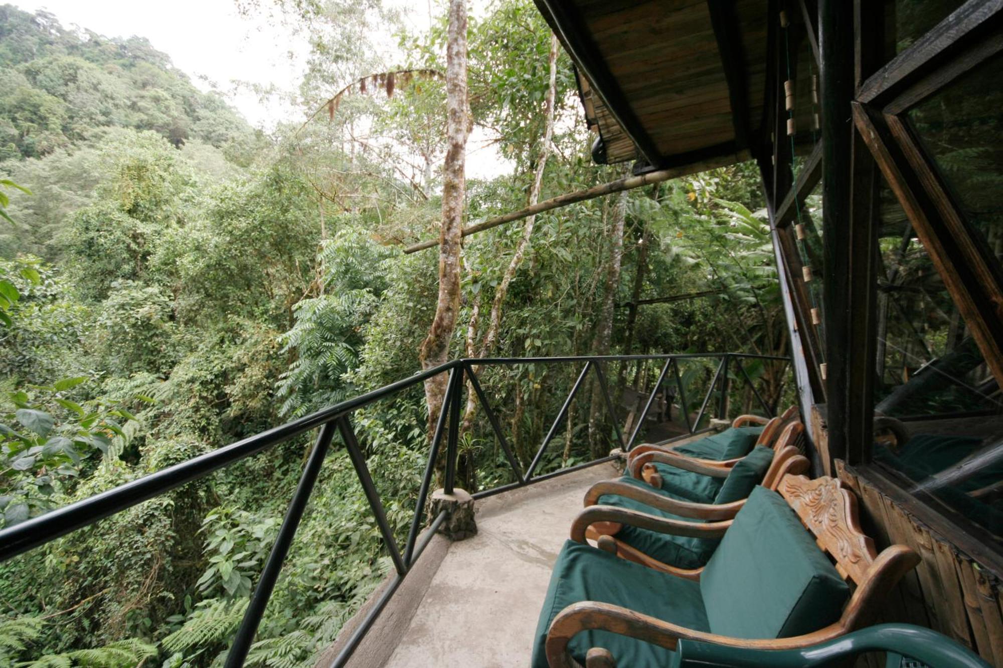 Bellavista Cloud Forest Lodge & Private Protected Area Tandayapa Dış mekan fotoğraf