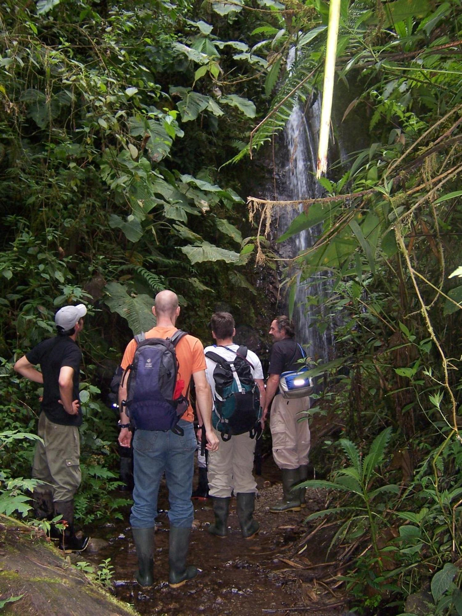 Bellavista Cloud Forest Lodge & Private Protected Area Tandayapa Dış mekan fotoğraf