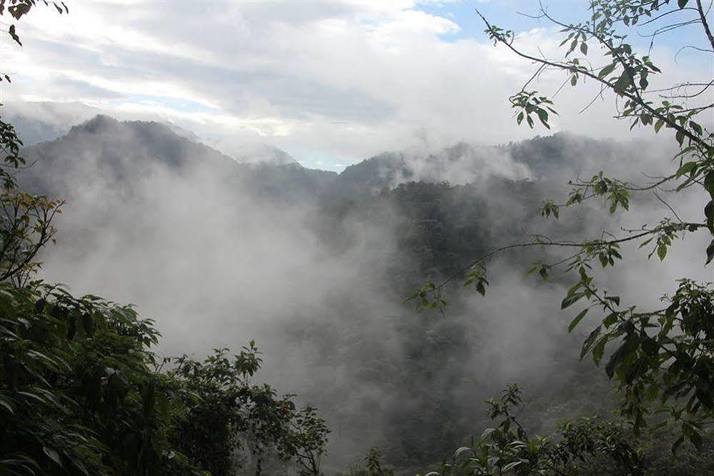 Bellavista Cloud Forest Lodge & Private Protected Area Tandayapa Dış mekan fotoğraf