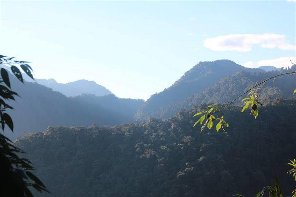 Bellavista Cloud Forest Lodge & Private Protected Area Tandayapa Dış mekan fotoğraf